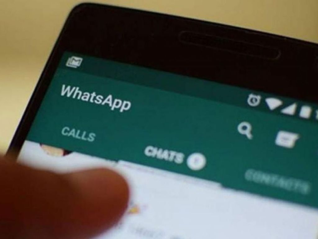 19 05 16 DM Al que quiere verde que recuerde 1
