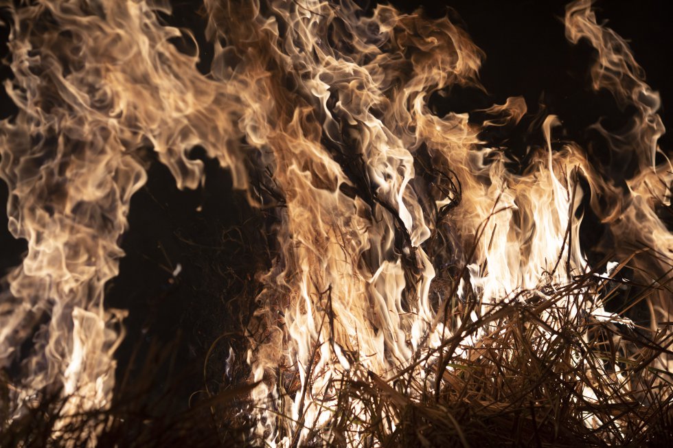 19 08 30 OP Cuando el infierno llega al bosque 1