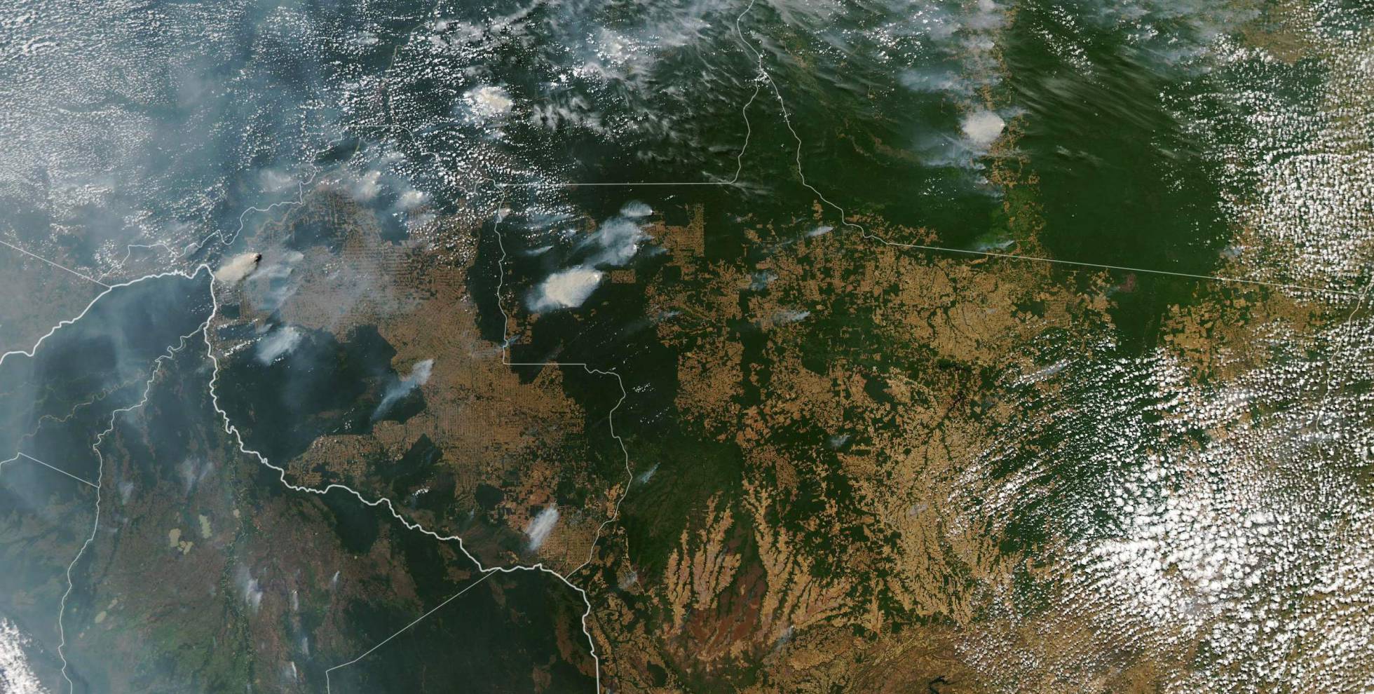 19 08 30 OP Cuando el infierno llega al bosque 3 Imagen satelital del incendio