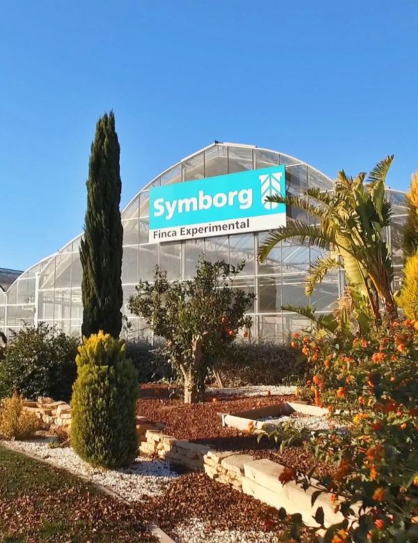 19 12 15 OP Un biofertilizante que reduce el uso de fertilizantes químicos 1 Finca experimental de Symborg