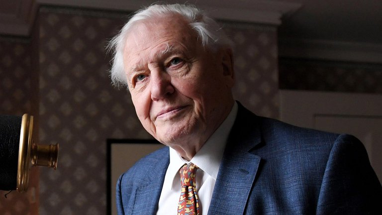 20 09 24 OP Sexta extinción masiva 1 David Attenborough